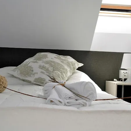 Apartament El Cuchi De Tril, Centrico, Wifi, Ascensor Y Garaje Sallent de Gállego