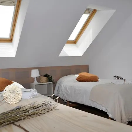 El Cuchi De Tril, Centrico, Wifi, Ascensor Y Garaje Apartament