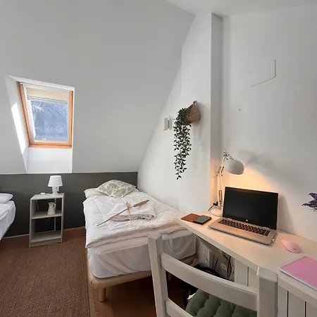 Apartament El Cuchi De Tril, Centrico, Wifi, Ascensor Y Garaje Sallent de Gállego
